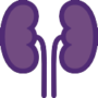 kidney-morad